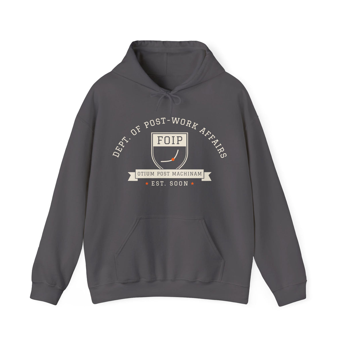 FOIP — Dept. of Post-Work Affairs Hoodie